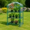Serra 3 ripiani da esterno con piante verdi e telo trasparente impermeabile