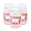 13-candela-rosa-principale Candela profumata rosa in vaso di vetro con tappo – set 3 pezzi Made in Italy