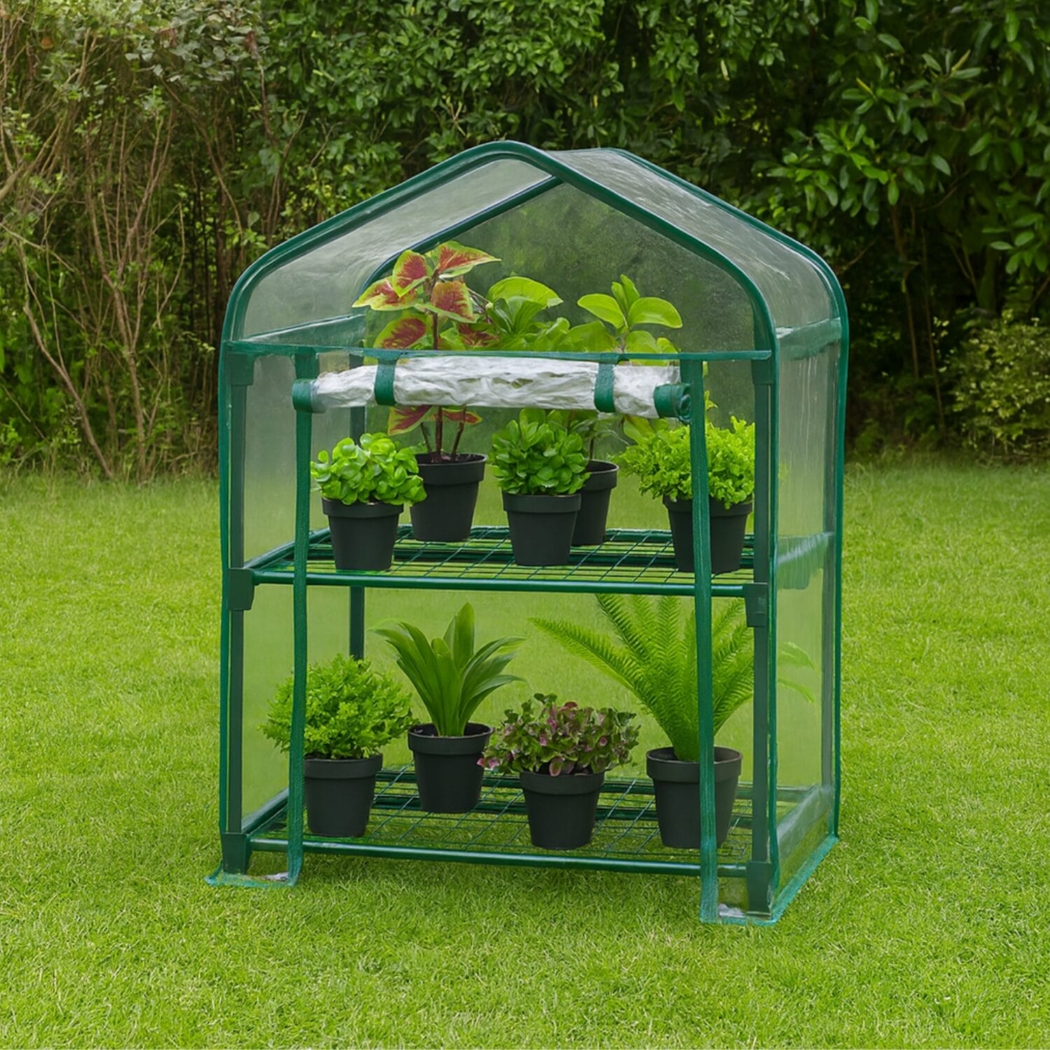 Serra 2 ripiani da esterno con piante verdi e telo trasparente impermeabile