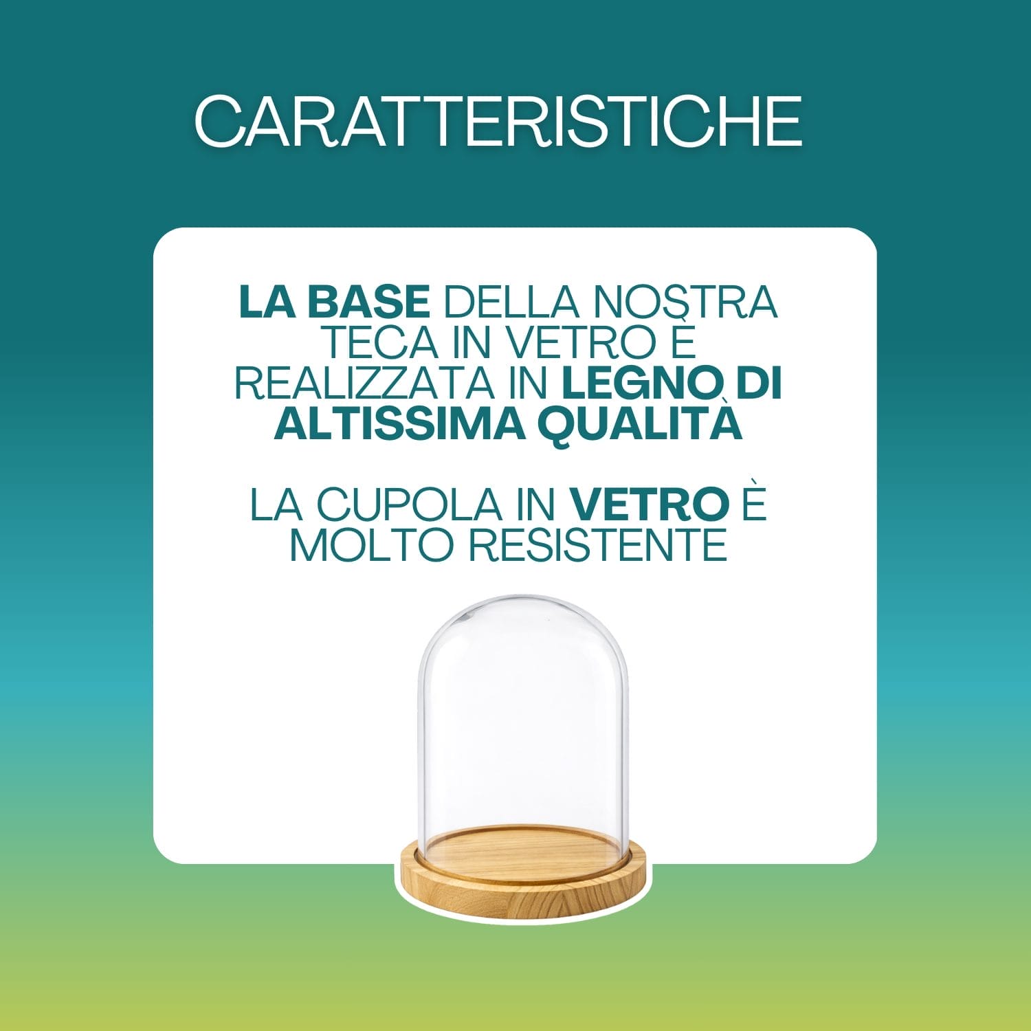 Campana in vetro resistente con base in legno naturale di alta qualità per esposizione decorativa
