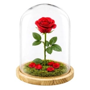 Cupola in vetro da esposizione