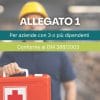cassetta medica allegato 1 REINTEGRO normative