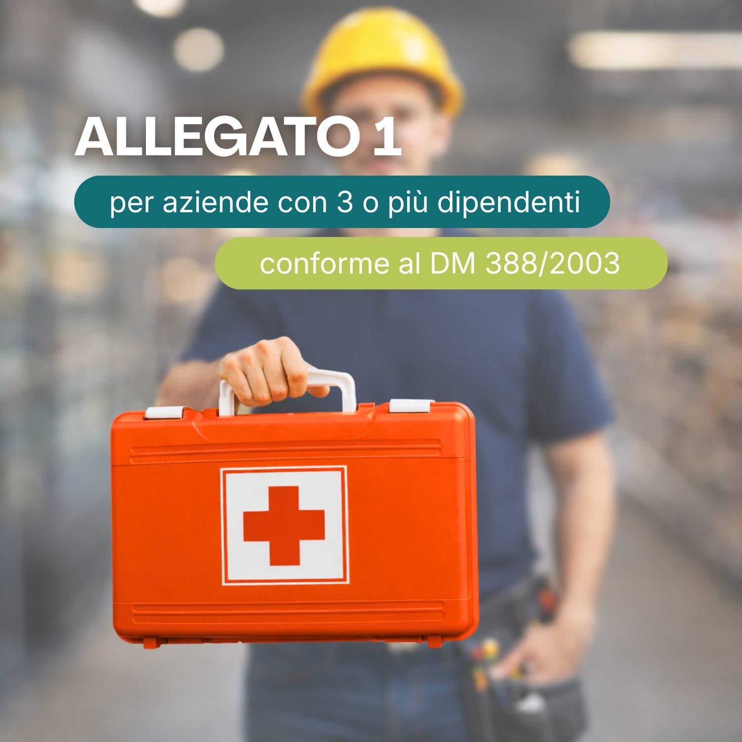 cassetta medica allegato 1 normative