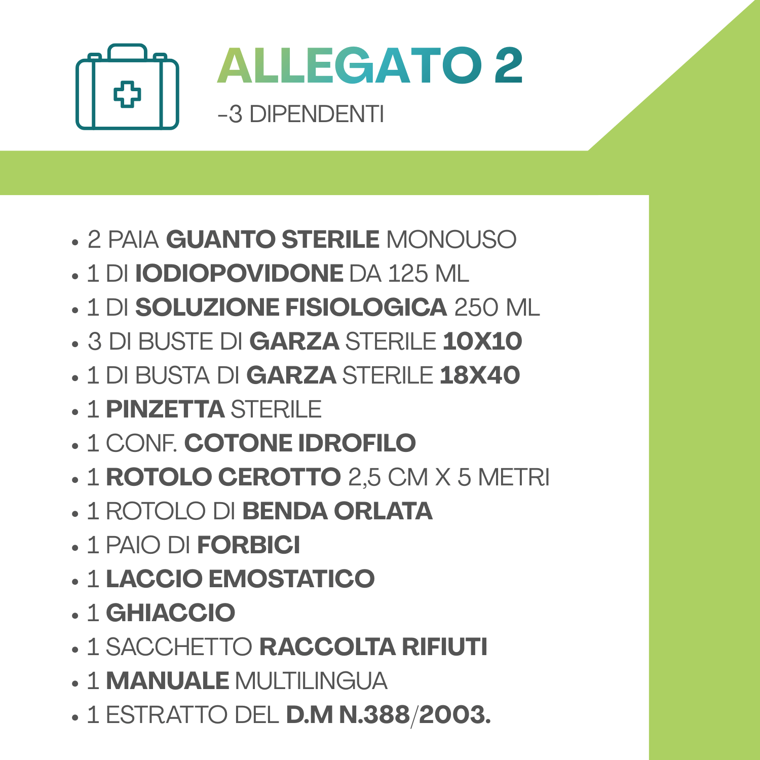 cassetta medica allegato 2 contenuto