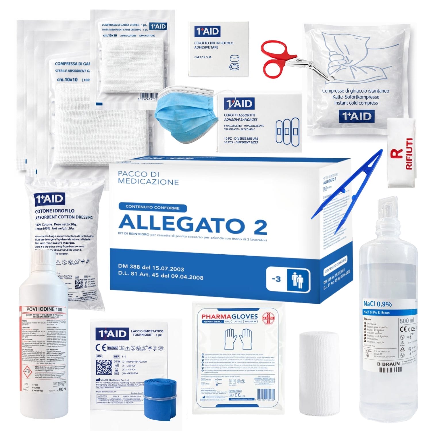 cassetta medica allegato 2 reintegro principale