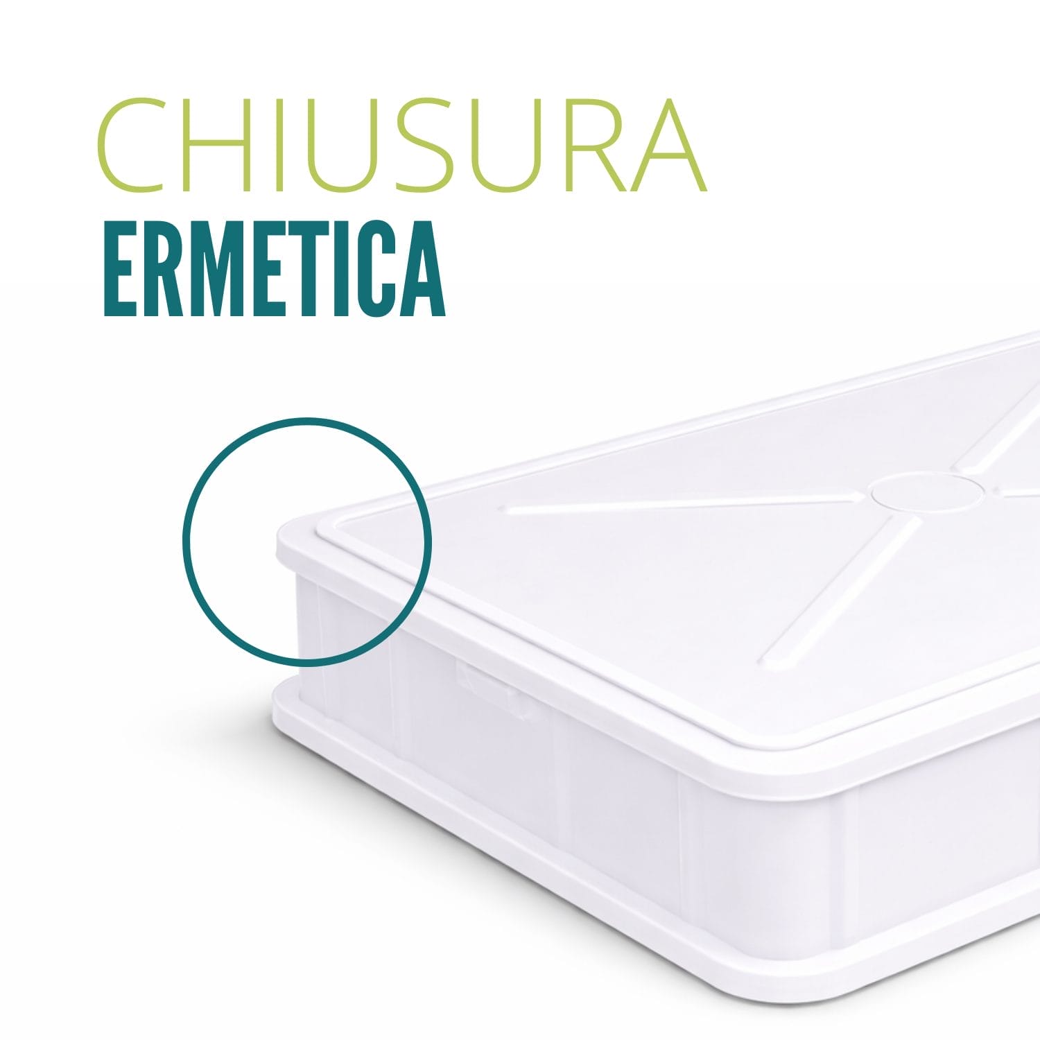 cassetta pizza per impasto con coperchio a chiusura ermetica in plastica alimentare