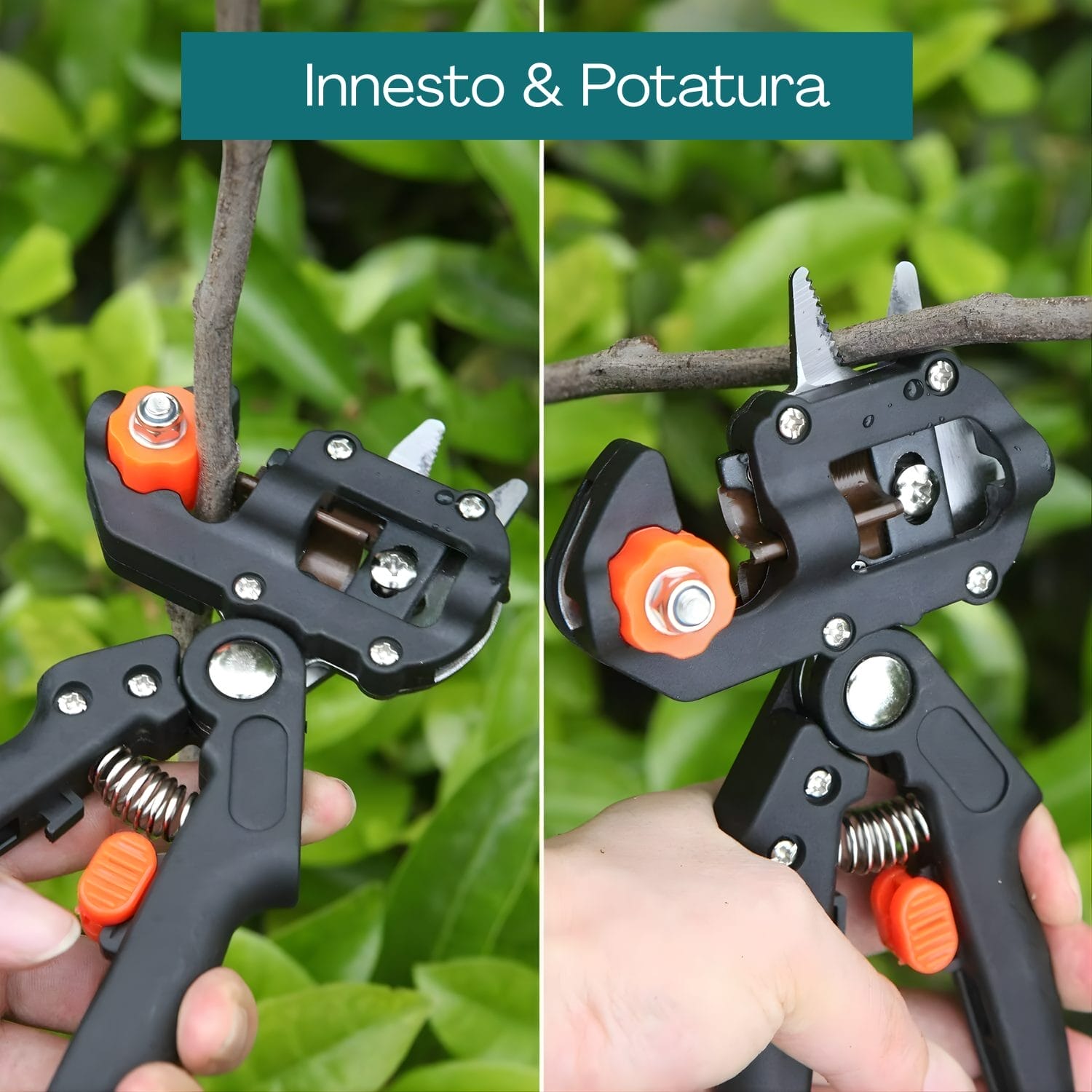 Cesoia da innesto e potatura per taglio preciso di rami in giardino