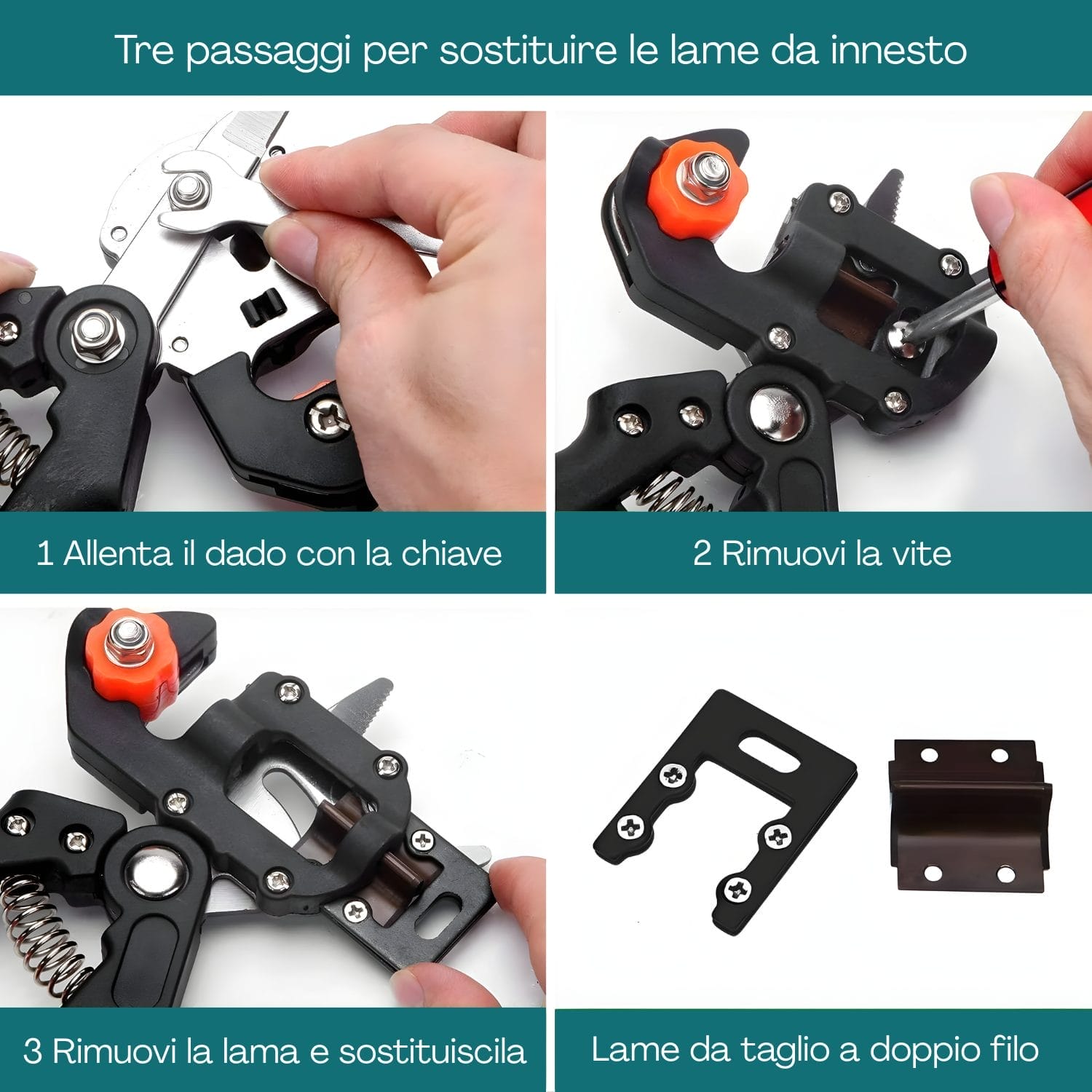 Cesoia da innesto con lame sostituibili e istruzioni di montaggio passo passo