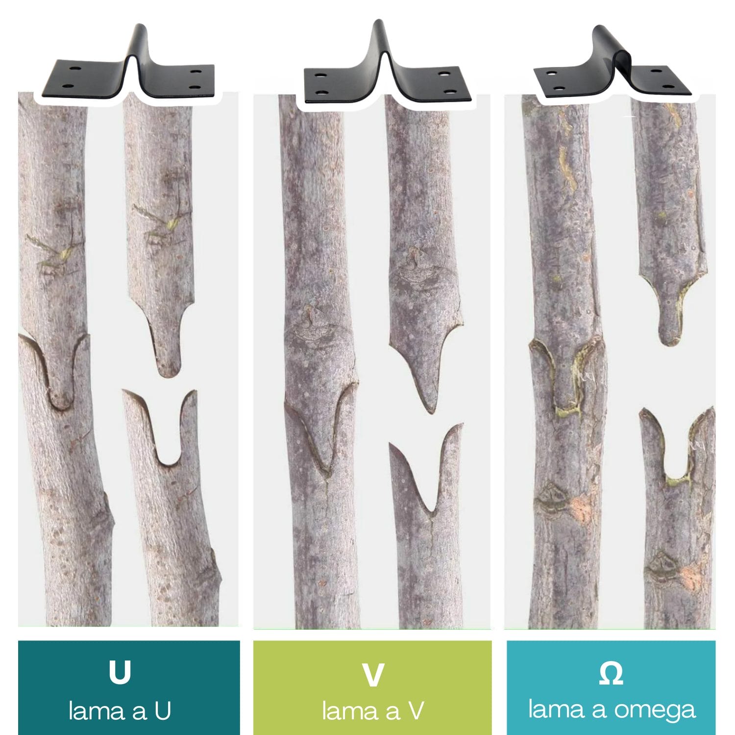 cesoie per innesto e potatura tipi di lame Lame da innesto a U, V e Omega per tagli professionali su rami e piante