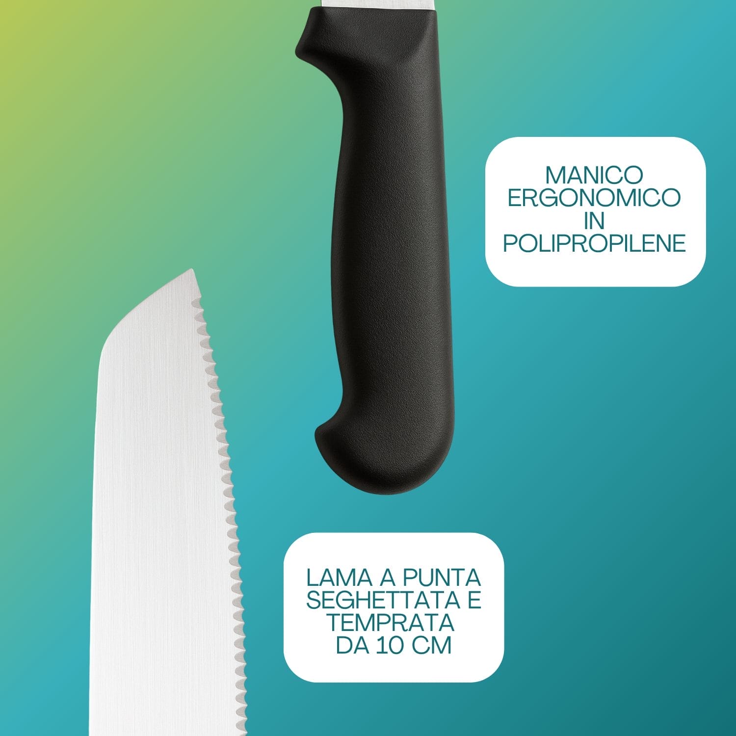 Dettaglio lama seghettata e manico in polipropilene ergonomico dei coltelli Paluplus