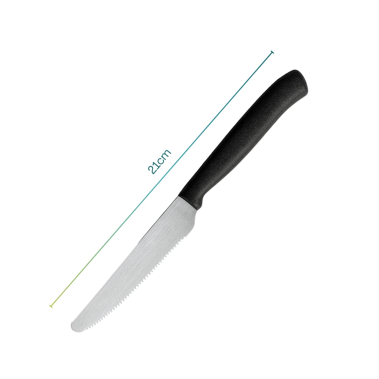 Coltello da carne con punta tonda seghettata inox lunghezza totale 21 cm