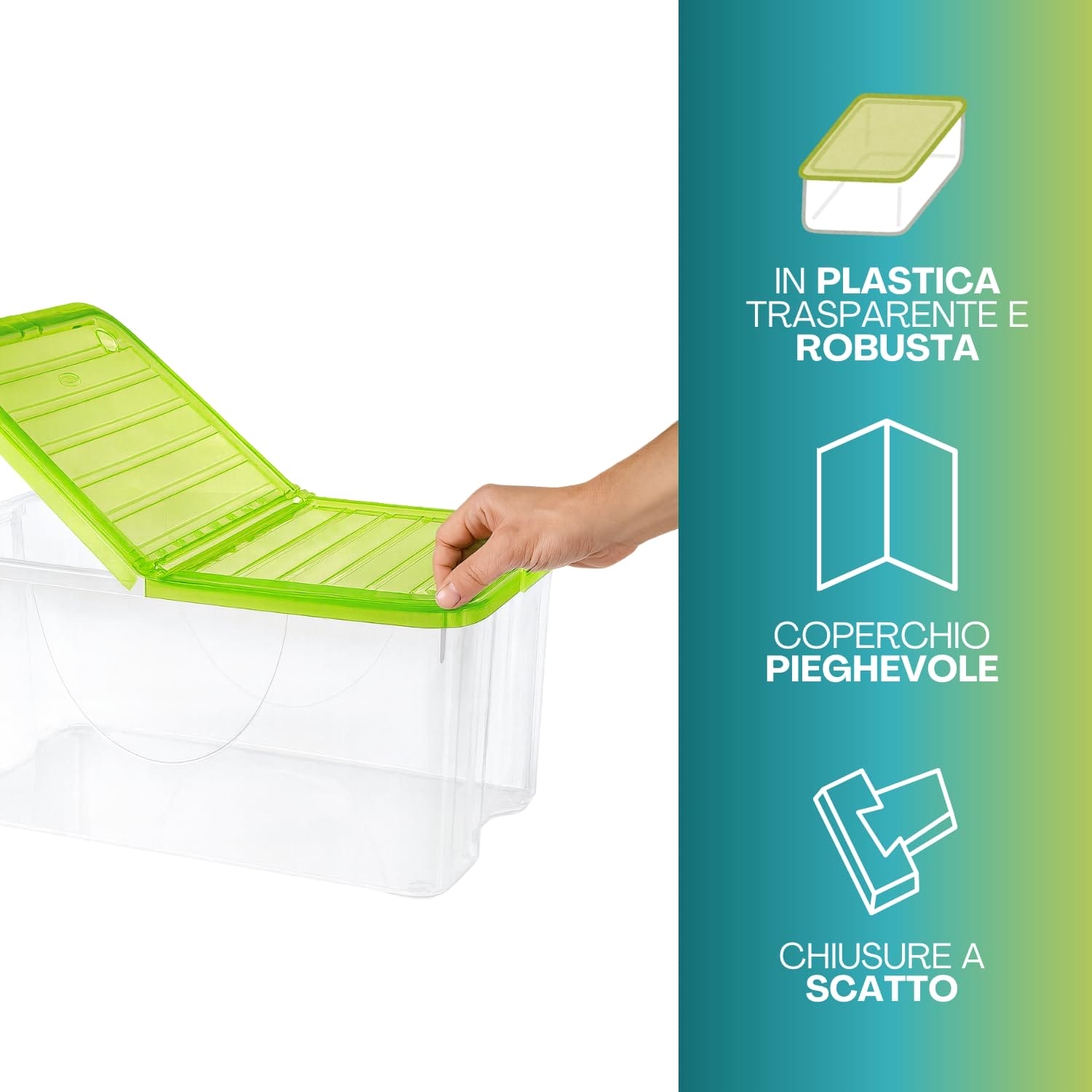 Contenitore plastica trasparente con coperchio verde pieghevole e chiusura a scatto