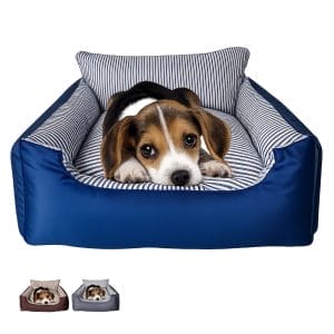 Cuccia divano per cani con cuscino 50x40x27 cm