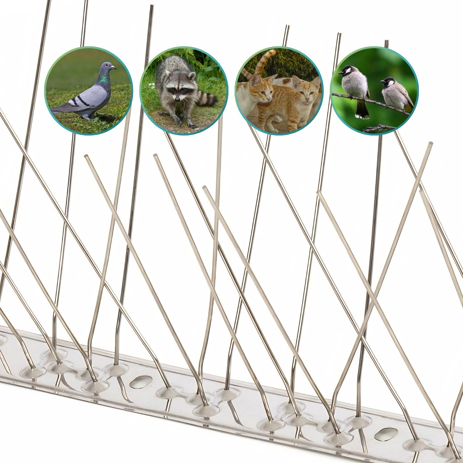Spuntoni anti uccelli acciaio inox contro piccioni e animali infestanti