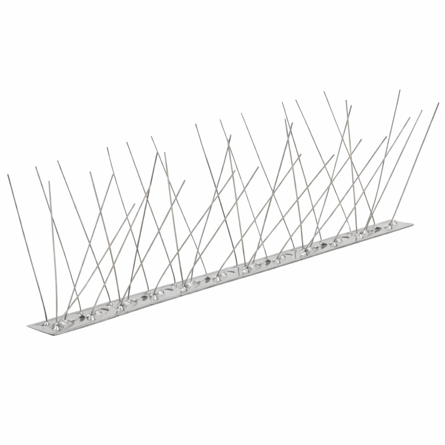 Dissuasore piccioni acciaio inox con spuntoni su base resistente