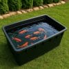 Vasca mastellone plastica nera con pesci rossi da giardino 250L