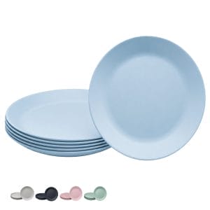 Piatti di plastica riutilizzabili con diametro 27,4 cm