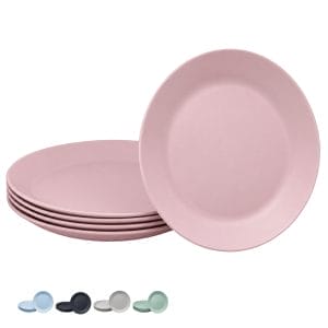 Piatti di plastica riutilizzabili con diametro 20,8 cm