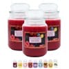 candele profumate principale frutti rossi
