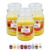 candele profumate principale macarons Candele decorative profumate al macarons 510 g in barattolo vetro set 3