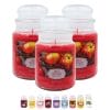 candele profumate principale mela speziata Set 3 candele alla mela in giara vetro con chiusura ermetica profumate