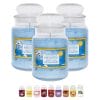 candele profumate principale talco Set 3 candele profumate di talco in giara 510 g con tappo in vetro