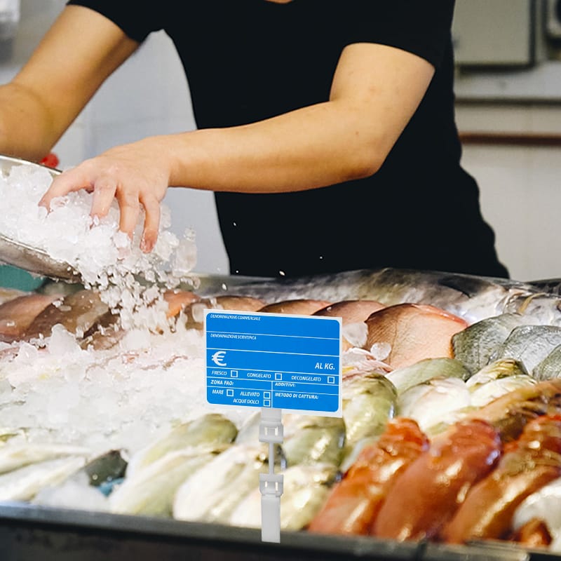 1-immagine-ambientata