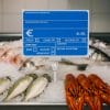 Version 1.0.0 Cartellino PVC per pescheria esposto su banco del pesce con ghiaccio e crostacei