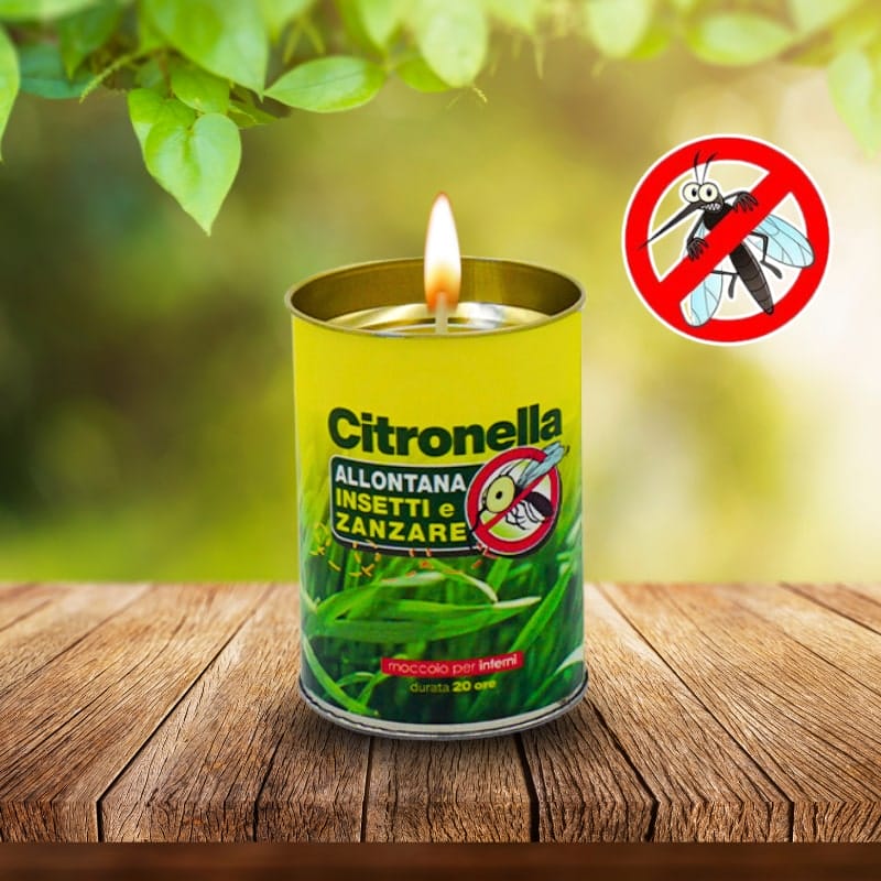 candele-carta-coreografica