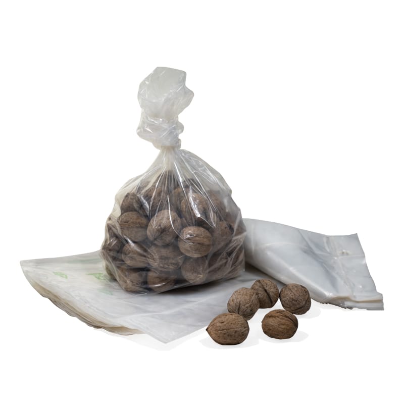 immagine-corografica-busta-media