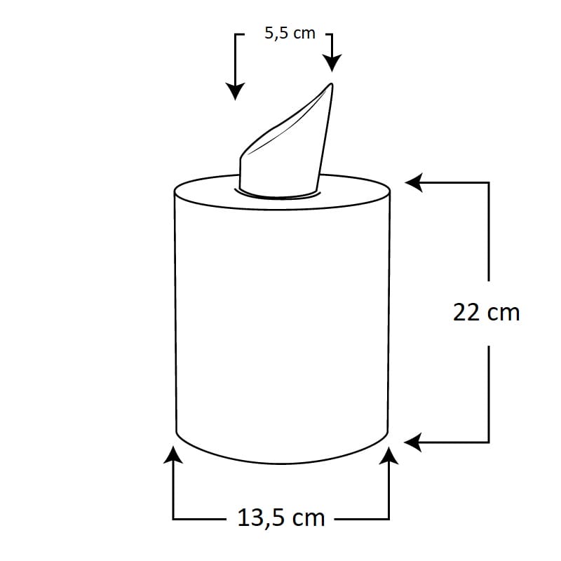 Rotoli Asciugamano Di Carta Papernet - Confezione Da 12, Estrazione Centrale, 2 Veli, 57 M - Foto 2