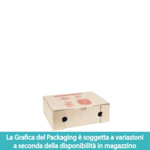 100 Scatole piccole porta fritti 15×22 cm