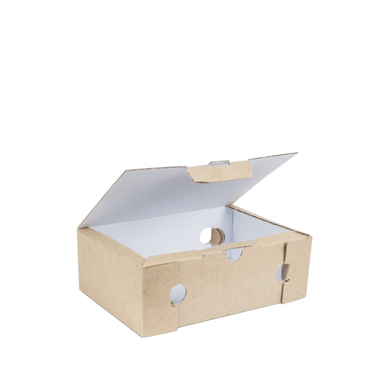 scatola-per-fritti-piccola-aperta