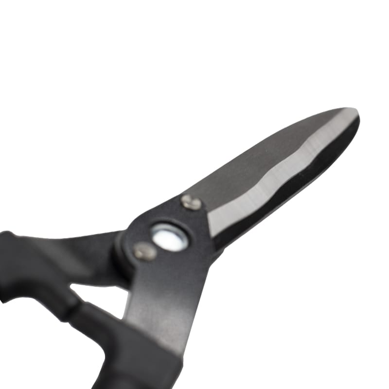 dettaglio-retro-punta