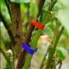 1-pinza-legatrice-manuale1