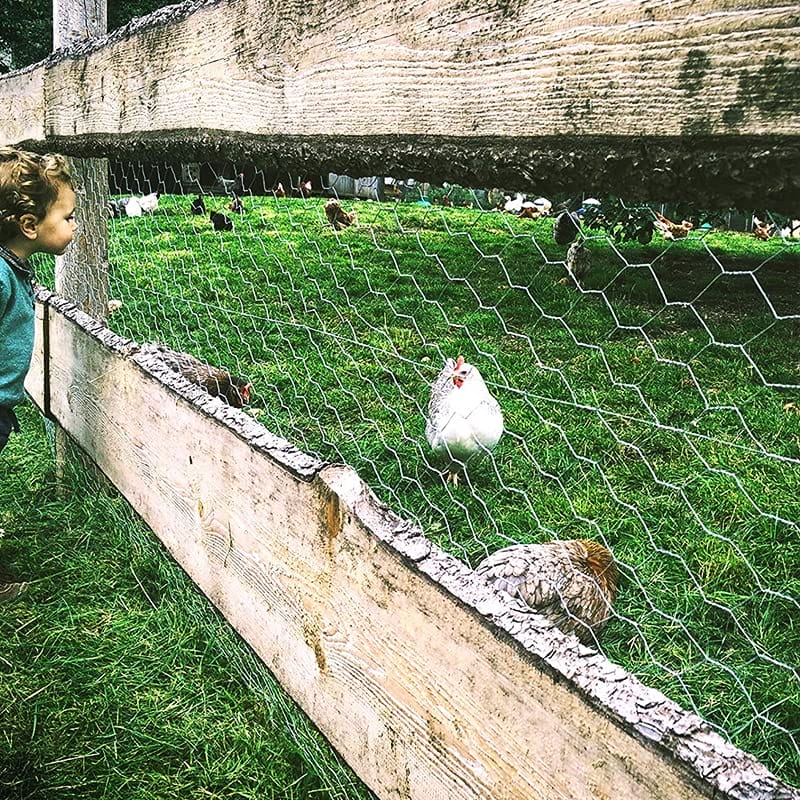 RETE - ESAGONALE- 10 METRI