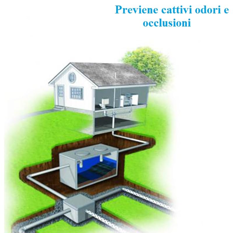 1692274607515mrkpwpvl