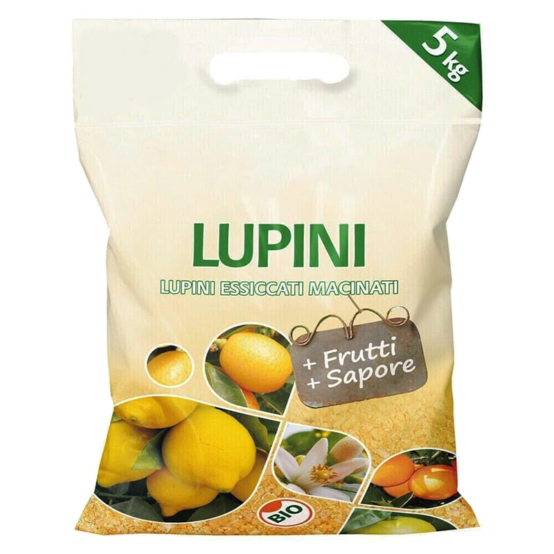 lupini