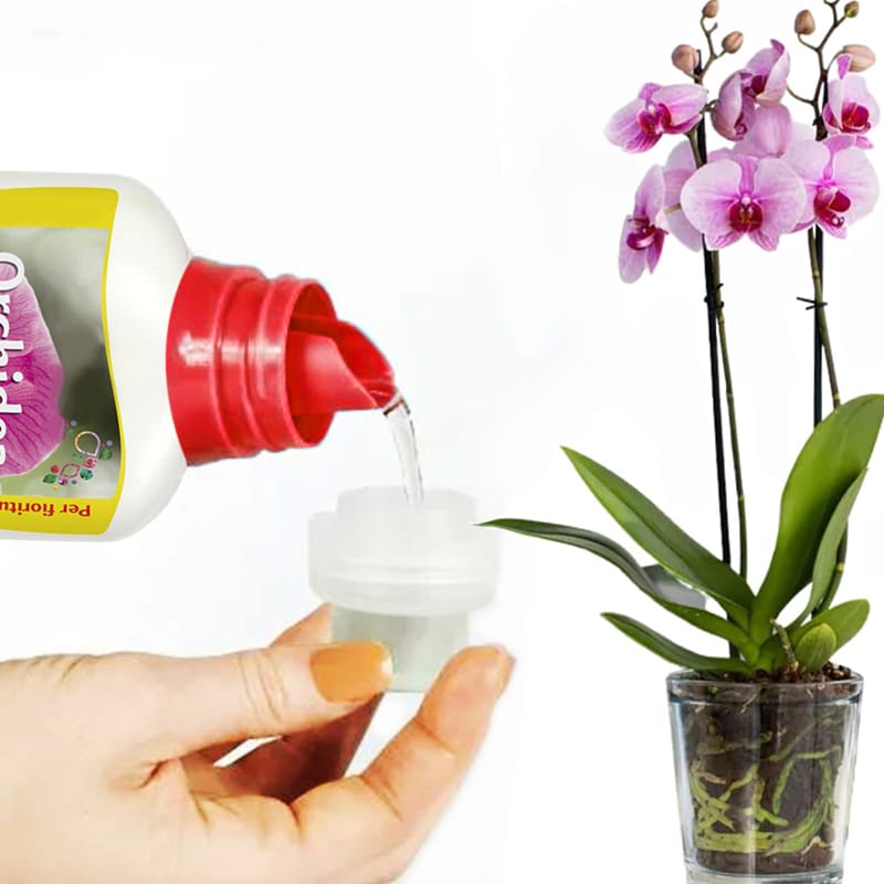 concime-orchidee-1