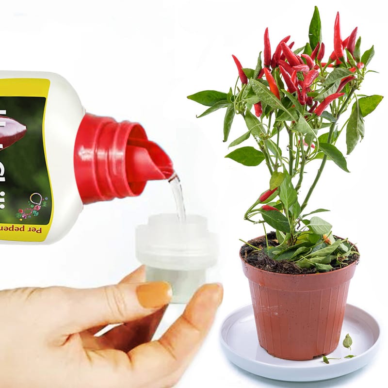 concime-peperoncino-1