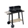 barbecue-carbone
