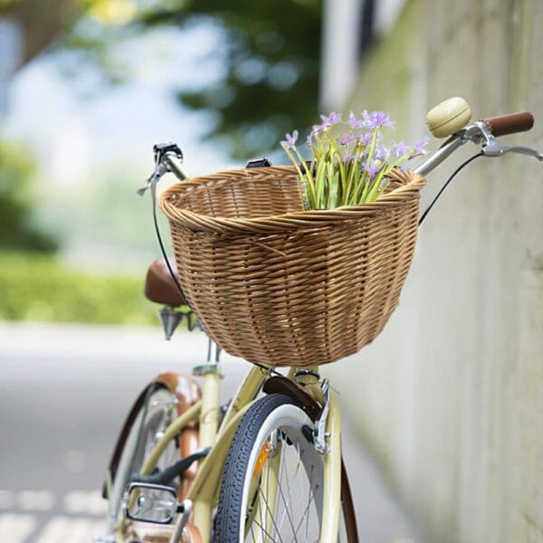 Cestino Per Bicicletta Posteriore Cesto Da Bicicletta In Metallo Grande Con Coperchio - Montaggio Posteriore Cycling Boy Cestino Posteriore Bici Elettrica - Foto 7