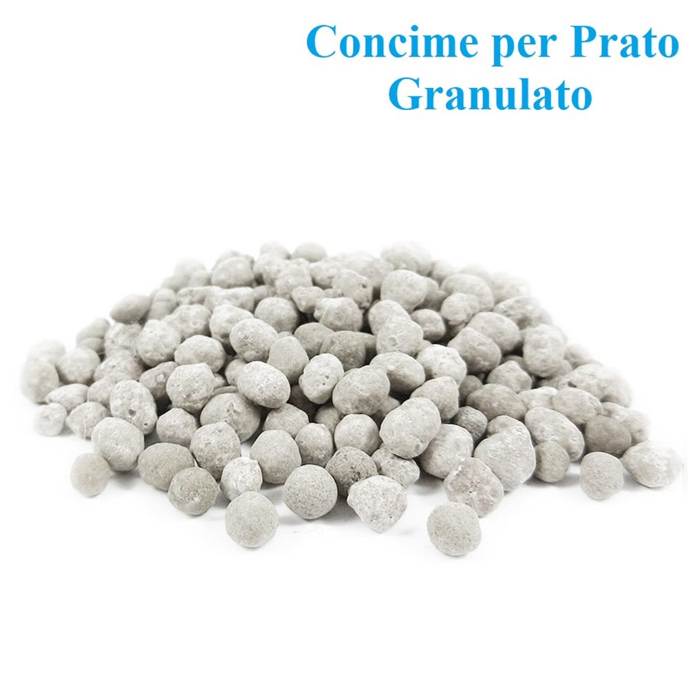 1-granulato-prato