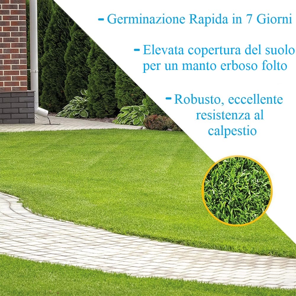 4-dettaglio2