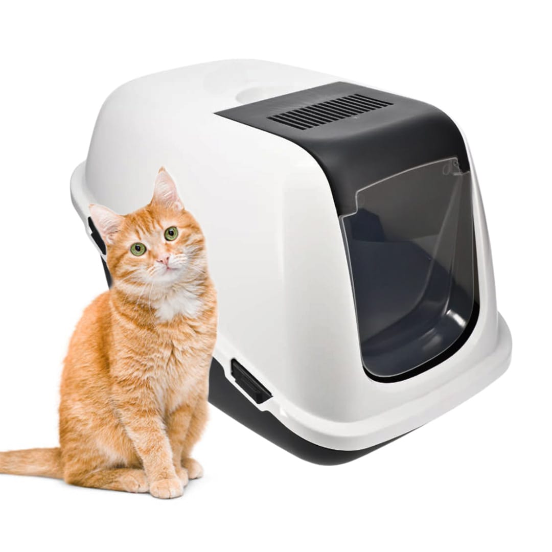 Lettiera chiusa per gatti antiodore con porta basculante