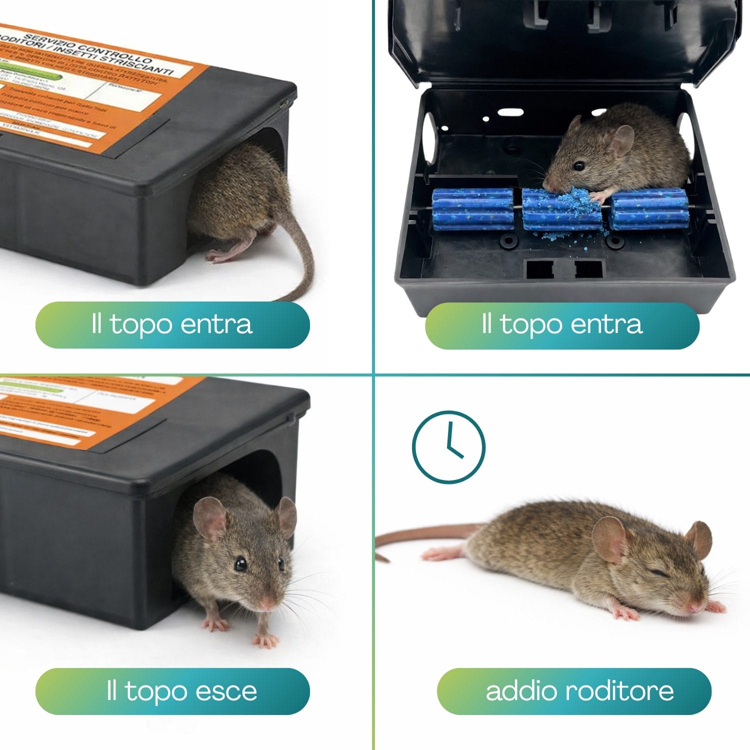 Sistema esca per topi con contenitore di sicurezza e rodenticida interno anti roditori