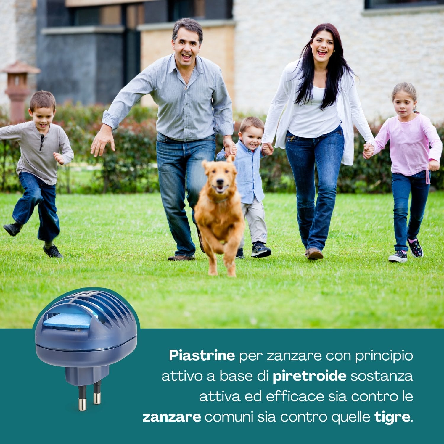 Antizanzare elettrico con piastrine Fulmine efficace contro zanzare comuni e zanzare tigre