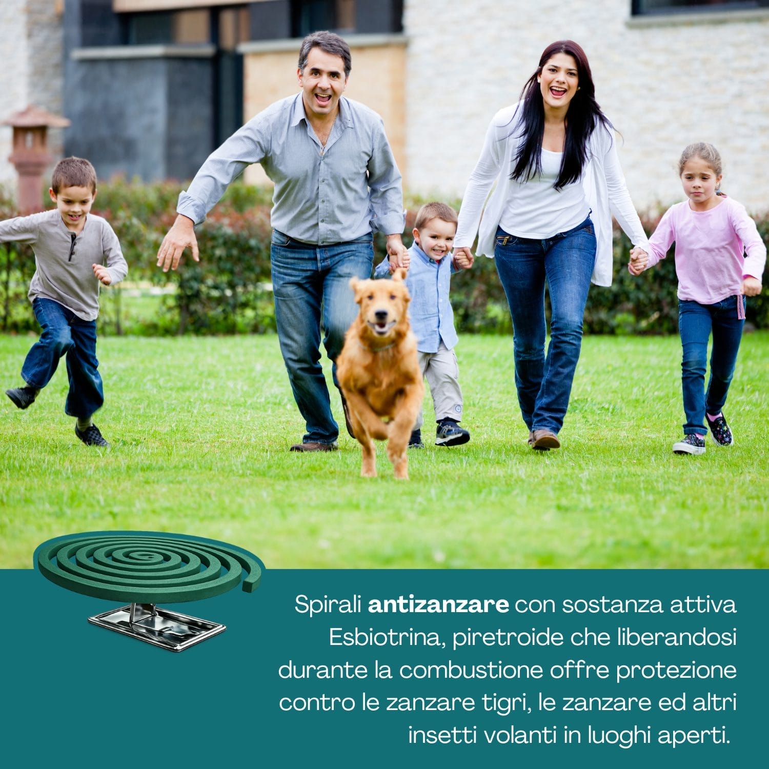 Spirali antizanzare Fulmine con esbiotrina piretroide efficaci contro zanzare tigre e insetti volanti all’aperto