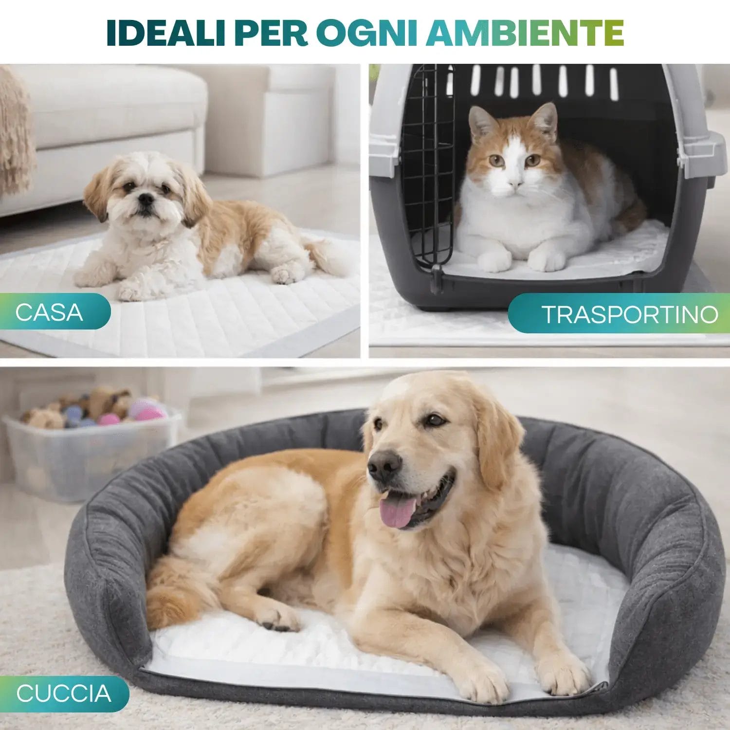 Cane su tappetino igienico assorbente per casa pulita e asciutta