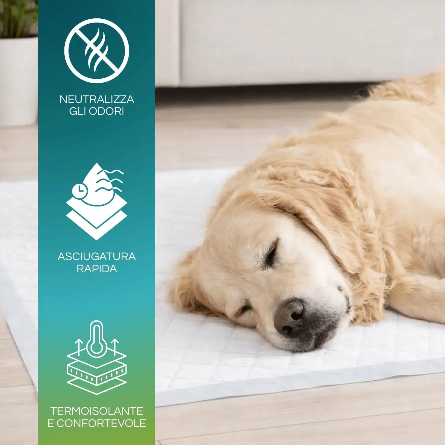 Traverse per cani 60x90 assorbenti con base impermeabile antiodore
